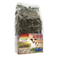 Bylinky NATURE LAND Botanical s modrými květy 100 g