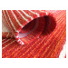 Oriental Weavers koberce PRO ZVÍŘATA: Pratelný Laos 138/999X  - 120x160 cm