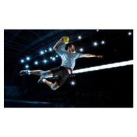 Fotografie Handball player players in action, Andreyuu, 40x24.6 cm