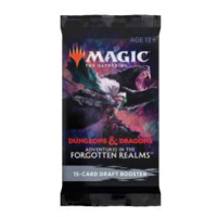 Adventures in the Forgotten Realms Draft Booster