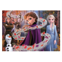 Puzzle 104 Frozen 2