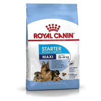 Royal Canin Maxi Starter Mother & Babydog 4 kg