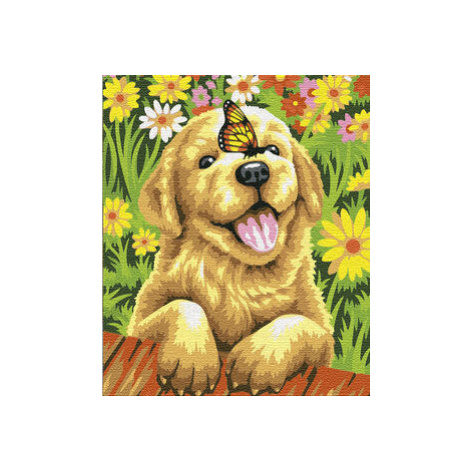 Symag Obraz Malování podle čísel - Radostné štěně