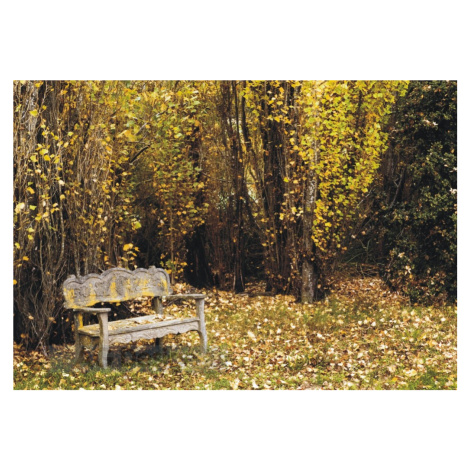 KUPSI-TAPETY Obrazová fototapeta na zeď čtyřdílná FT 0324 Lavička a stromy na podzim