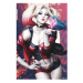 Plakát Harley Quinn - Kiss (13)