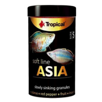 Tropical Asia S 100 ml 50 g