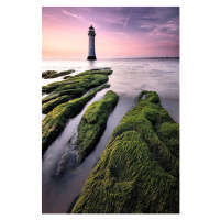 Fotografie Perch Rock lighthouse, Paul Bullen, 26.7x40 cm