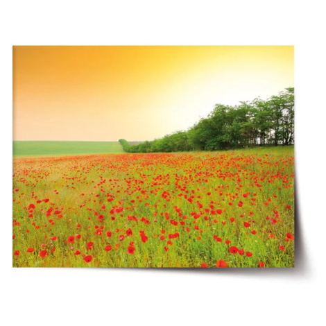Plakát Pole vlčích máků - 60x40 cm
