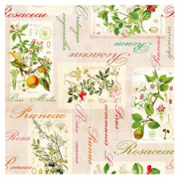 Ubrus Rosalie 385-9040 140cmx20m