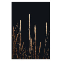 Ilustrace Golden Fields In The Dark, Kubistika, 26.7 × 40 cm