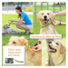 Arava Pet Spa Antiparazitický obojek pro štěňata a dospělé psy