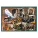 Trefl Puzzle Harry Potter, 10v1