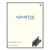 DANTIK rámeček 40 × 50, ALU profil 6030 Dýha barevný šedý tmavý plexi čiré