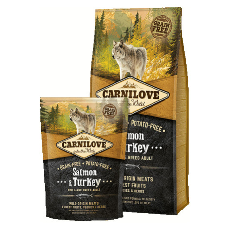 CarniLove Adult Large Salmon & Turkey 12 kg