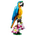 LEGO® Creator 31136 Exotický papoušek - 31136