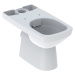 Geberit Selnova Square - WC kombi mísa, zadní odpad, Rimfree, bílá 501.563.01.7