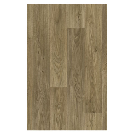 Beauflor PVC podlaha - lino Quintex Gambel Oak 669D  - dub - Rozměr na míru cm