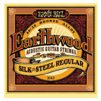 Ernie Ball 2043 Earthwood Silk and Steel Regular - .013 - .056