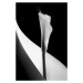 Fotografie Calla lily, Stephen Clough, 26.7 × 40 cm