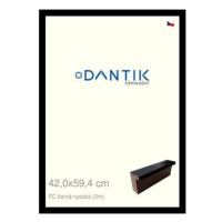 DANTIK rámeček 42 × 59,4, FC černý vysoký plexi čiré