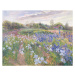 Obrazová reprodukce Sunsparkle on Irises, 1996, Timothy Easton, 40 × 30 cm