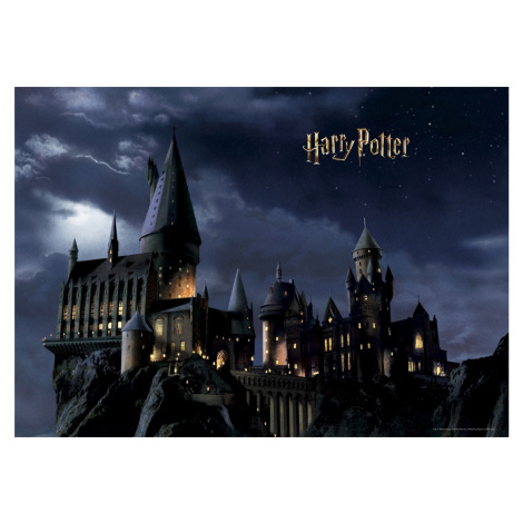 Dětská fototapeta Harry Potter 252 x 182 cm, 4 díly