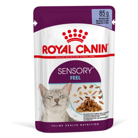 Royal Canin Sensory Feel Jelly 12 × 85 g