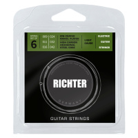 Richter Electric Guitar Strings Ion Coated, Light 9-42