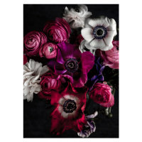 Fotografie Dark Flowers 1, Mareike Bohmer, 30 × 40 cm