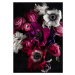 Fotografie Dark Flowers 1, Mareike Bohmer, 30 × 40 cm