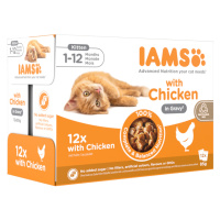 IAMS Delights Kitten - kuřecí v omáčce 24 x 85 g