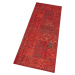 Hanse Home Collection koberce Kusový koberec Celebration 103467 Plume Red Rozměry koberců: 120x1