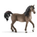 Schleich 13907 Horse Club Arabian stallion