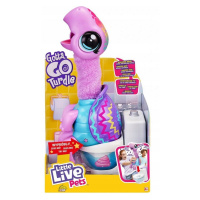 Little Live Pets Gotta Go Interaktivní želva Sherbet 26334