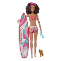 Barbie®  surfařka s doplňky
