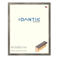 DANTIK rámeček 40 × 50, Metalli oidati AGsvětlý plexi čiré