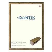 DANTIK rámeček 50 × 70, TRITON bílý bronz plexi čiré