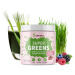 Blendea Supergreens Lesní směs 90 g