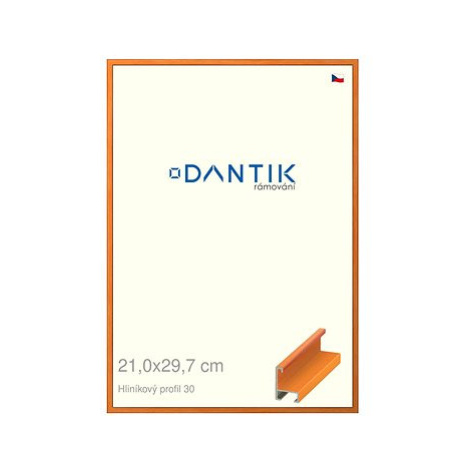 DANTIK rámeček 21 × 29,7, ALU profil 6030 Dýha barevný oranžový sklo čiré