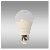 LED žárovka Bulb 12W E27 3000K