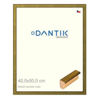 DANTIK rámeček 40 × 50, Metalli oidati zlatý plexi čiré