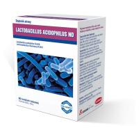 Lactobacillus acidophilus ND tob.60