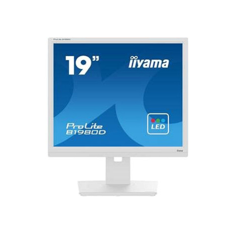 19" iiyama ProLite B1980D-W5