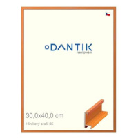 DANTIK rámeček 30 × 40, ALU profil 6035 Dýha barevný oranžový plexi čiré