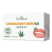 Cannaderm Cannadent HerpEX zdravé rty 28 tob.