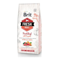 Brit Fresh Dog Beef & Pumpkin Puppy Large 2,5kg