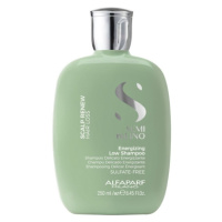 ALFAPARF MILANO Semi Di Lino Scalp Renew Posilňující šampon 250 ml