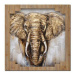 Ručně malovaný obraz Elephant (100x100 cm)