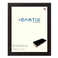 DANTIK rámeček 40 × 50, RETRO černý plexi čiré