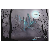 Umělecký tisk Harry Potter - Nocturnal Hogwarts Castlle, 40 × 26.7 cm